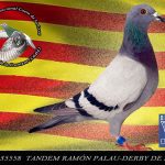 35558TANDEM RAMÓN PALAU