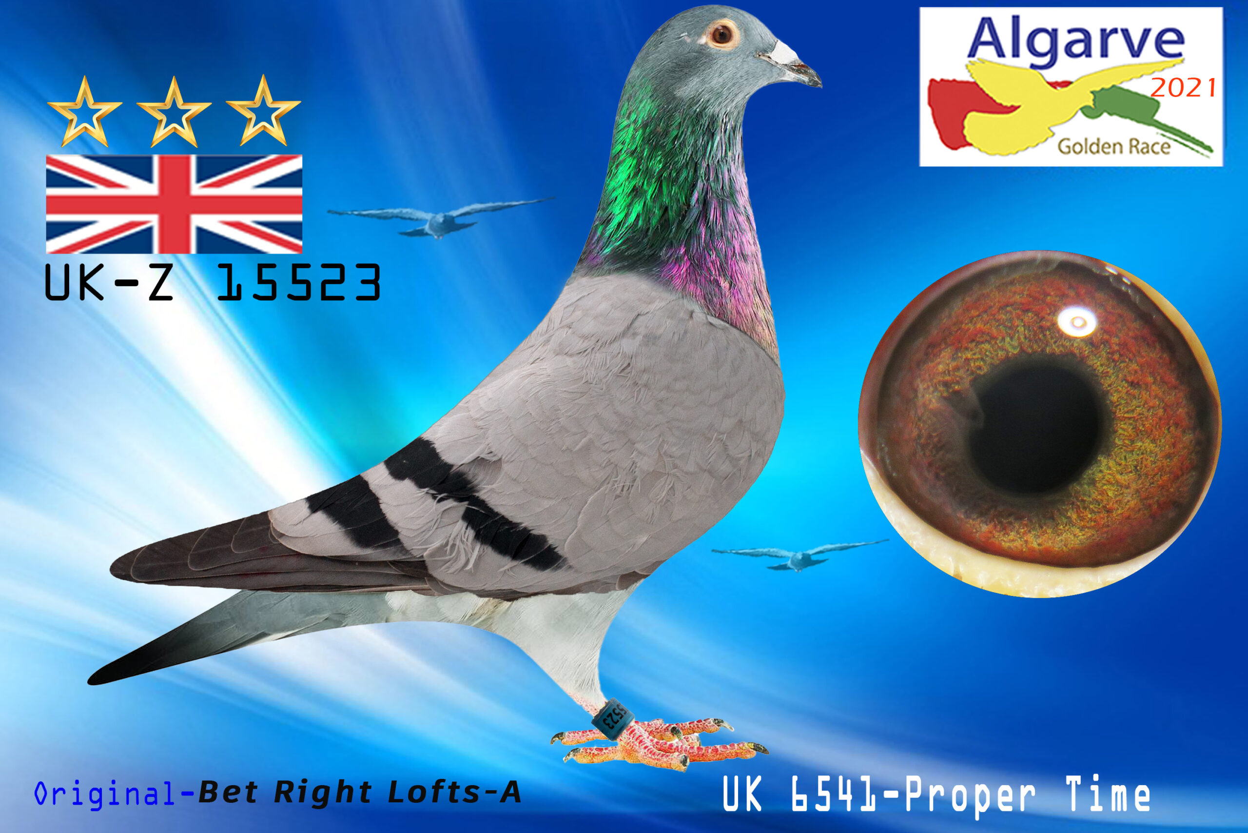 UK-Z 15523/21 - HEMBRA - Bet Right Lofts-A - 2419º CLASIFICADA