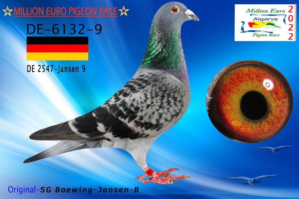 DV-06132-9/22 - HEMBRA - SG Boewing-Jansen-B - 1237º CLASIFICADA