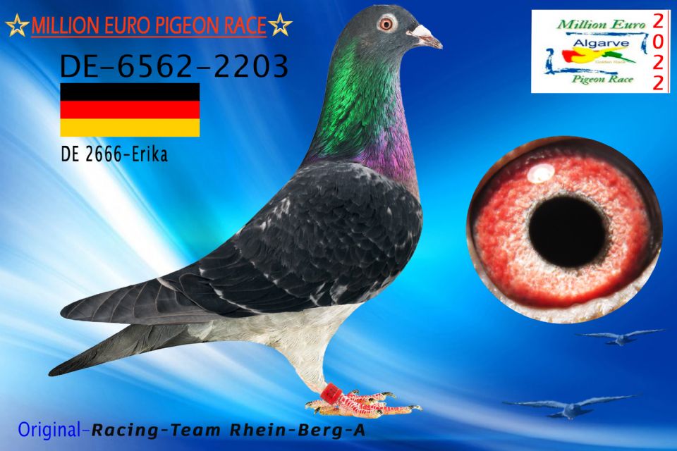 DV-06562-2203/22 - HEMBRA - Racing-Team Rhein-Berg-A - 1873º CLASIFICADA
