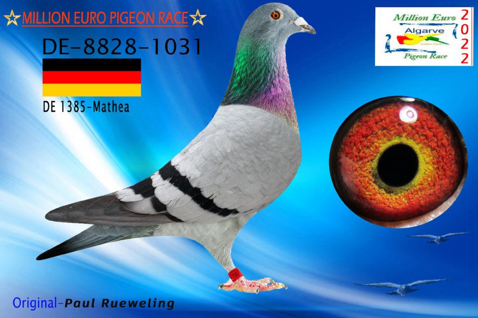 DV-08828-1031/22 - MACHO - Paul Rueweling - 1265º CLASIFICADA