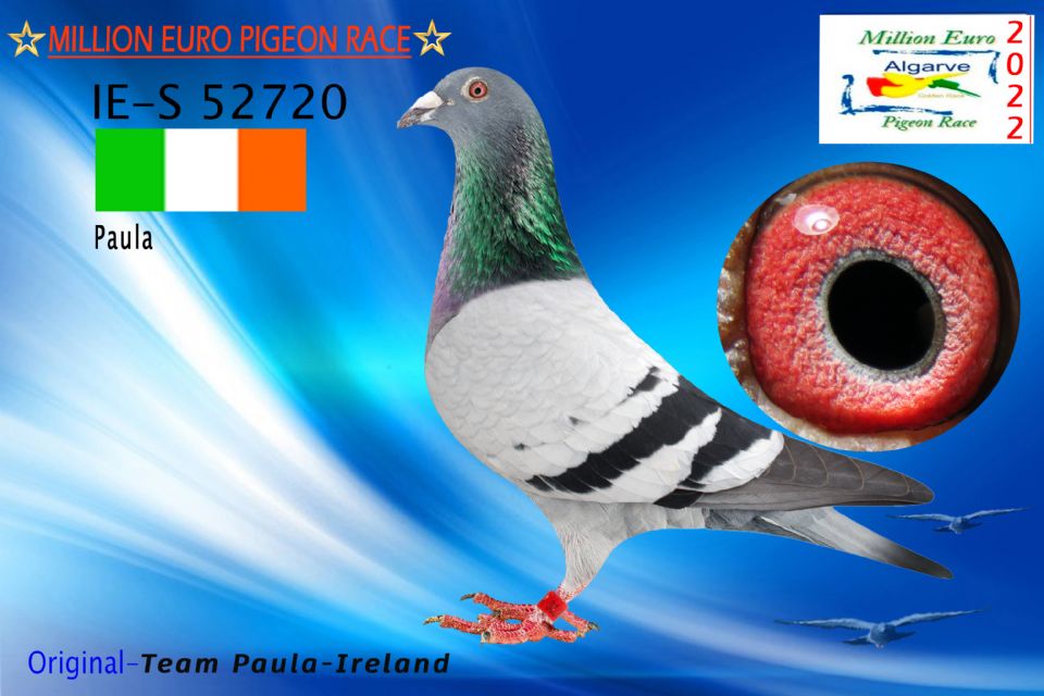 IHU-S-052720/22 - MACHO - Team Paula-Ireland - FC