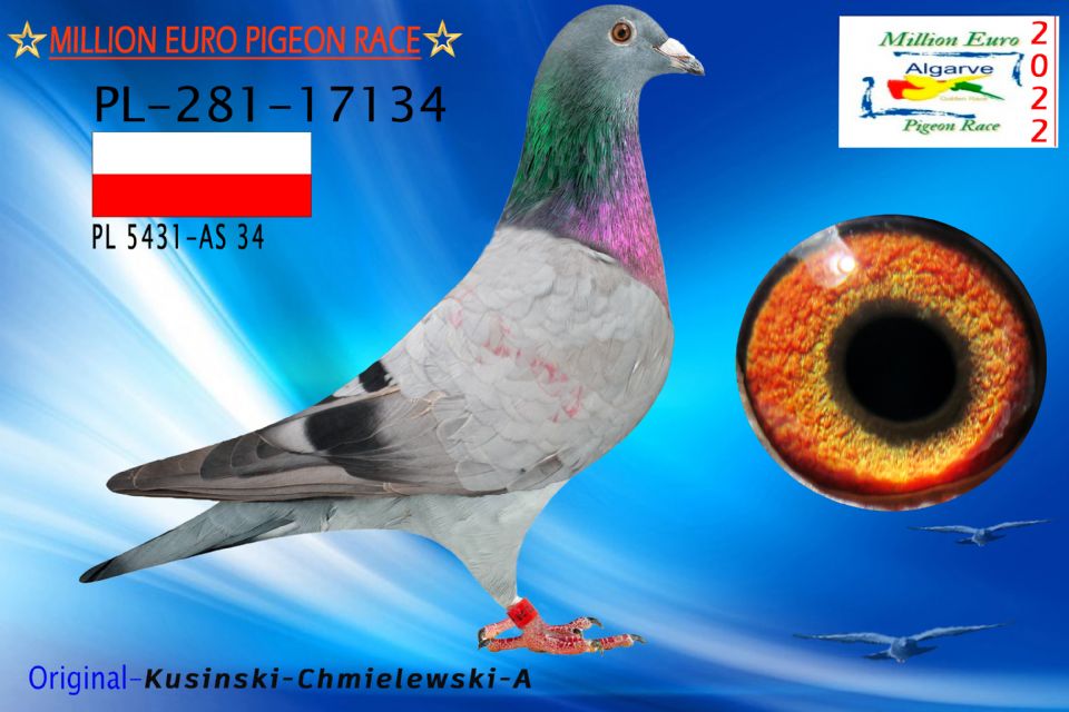 PL-0281-17134/22 - MACHO - Kusinski-Chmielewski-A - 1403º CLASIFICADA