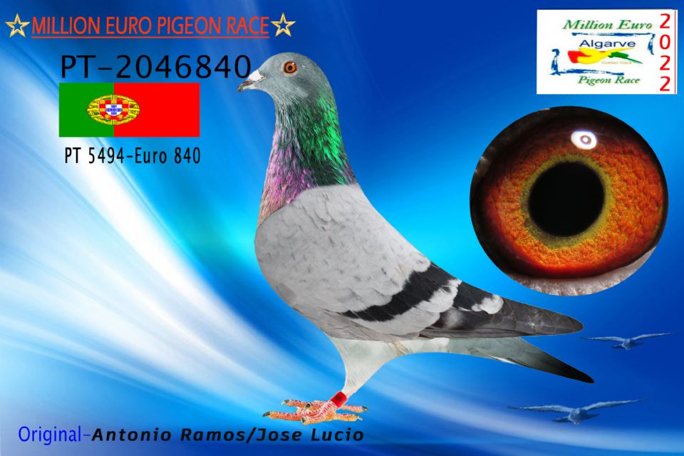 POR-2046840/22 - MACHO - Antonio Ramos/Jose Lucio - 1595º CLASIFICADA