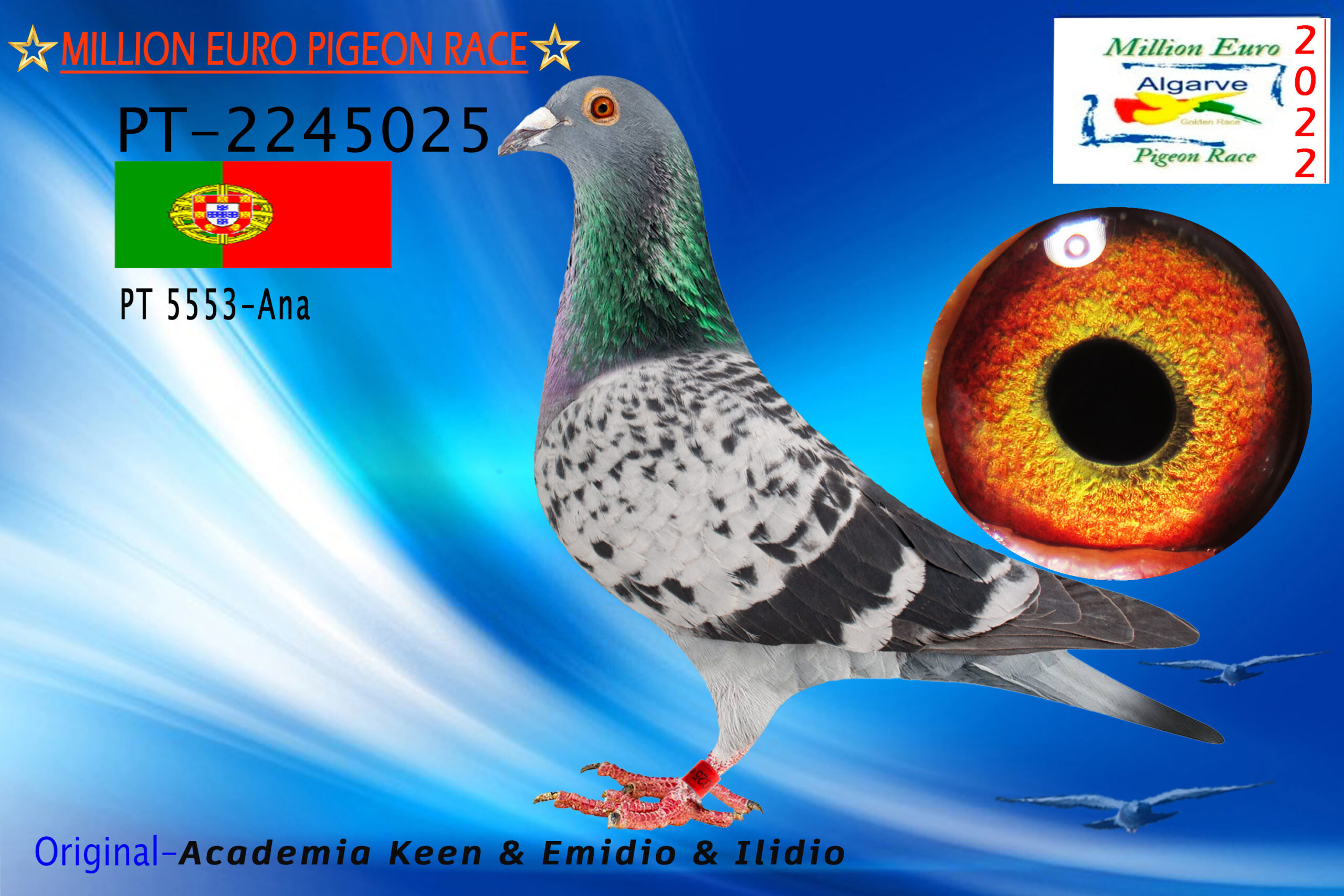 POR-2245025/22 - HEMBRA - Academia Keen & Emidio & Ilidio Rodrigues - FC
