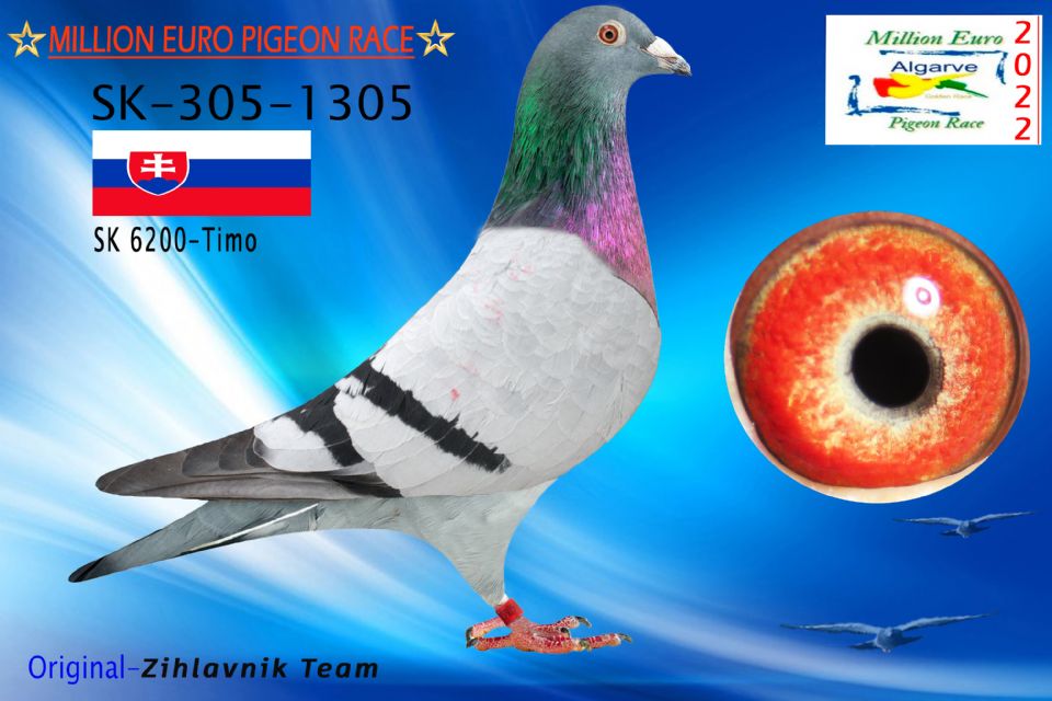 SK-0305-1305/22 - MACHO - Zihlavnik Team - 1557º CLASIFICADA