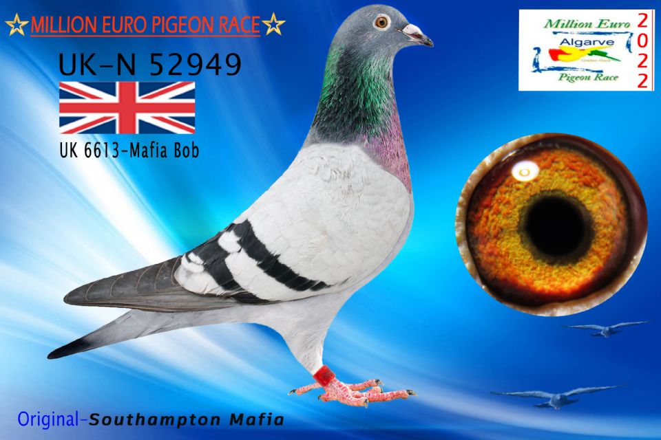 GB-N-52949/22 - HEMBRA - Southampton Mafia - FC