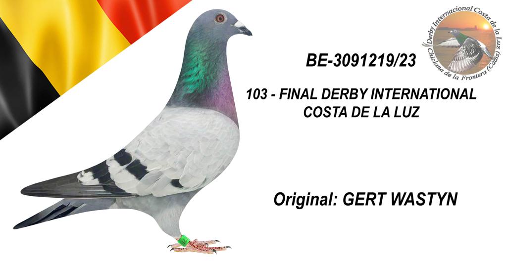 BE-3091219/23 - GERT WASTYN - 103º CLASIFICADA