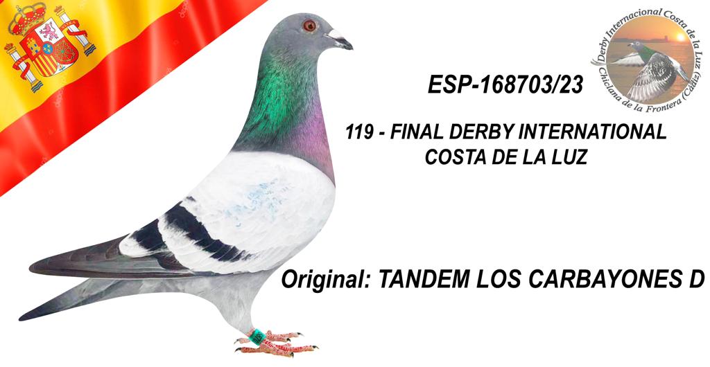 ESP-168703/23 - TANDEM LOS CARBAYONES - 119º CLASIFICADA