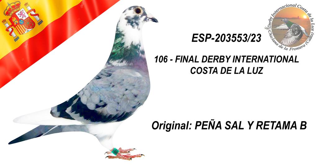 ESP-203553/23 - PEÑA SAL Y RETAMA - 106º CLASIFICADA