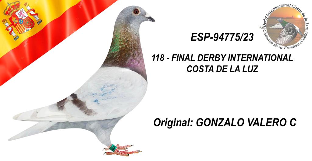 ESP-94775/23 - GONZALO VALERO - 118º CLASIFICADA