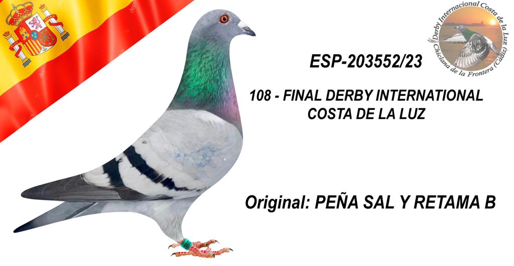 ESP- 203552/23 - PEÑA SAL Y RETAMA - 108º CLASIFICADA
