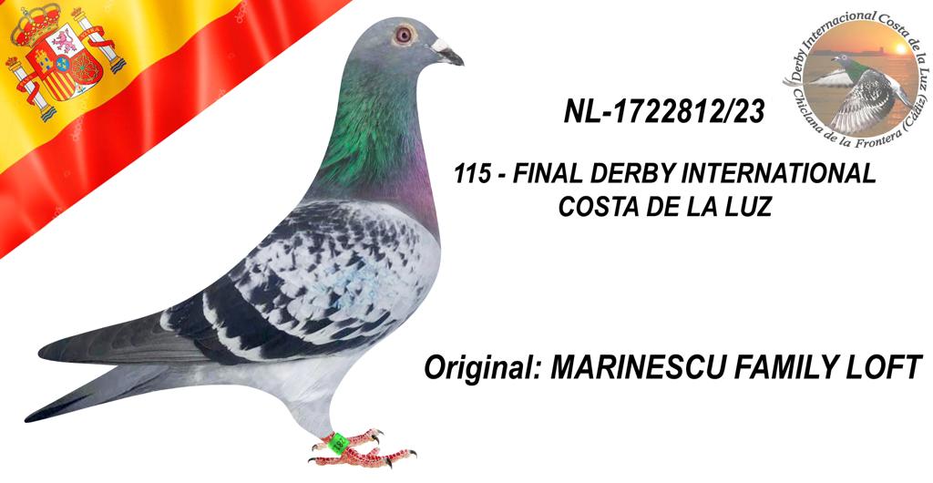 NL-1722812/23 - MARINESCU FAMILY LOFT - TERCERA EN LA SEMIFINAL 115º CLASIFICADA