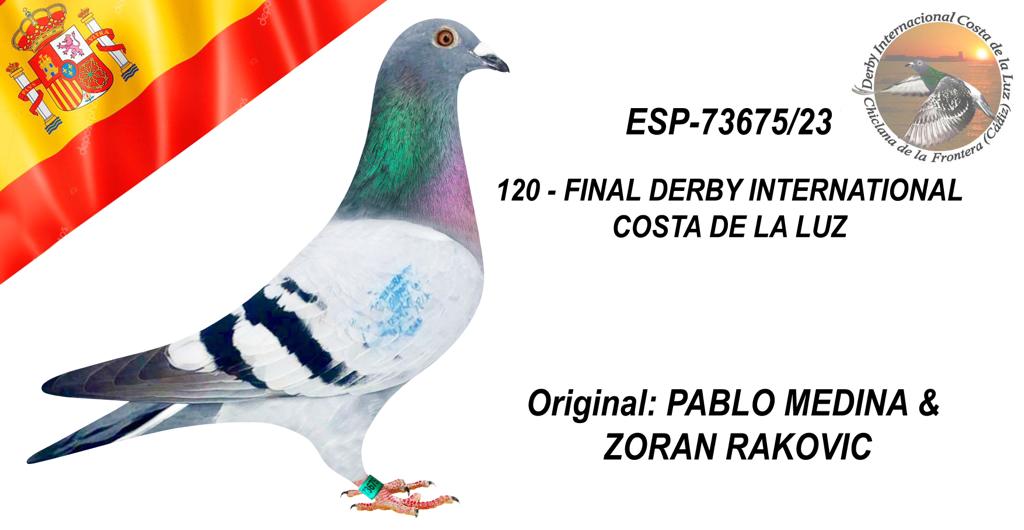 ESP-73675/23 - PABLO MEDINA & ZORAN RAKOVIC - 120º CLASIFICADA