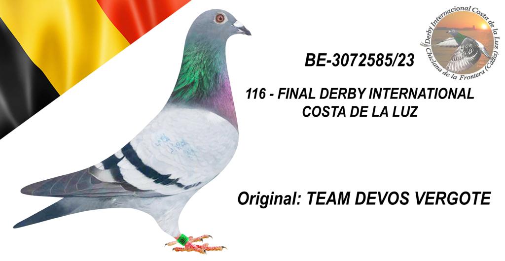 BE-3072585/23 - TEAM DEVOS VERGOTE - 116º CLASIFICADA