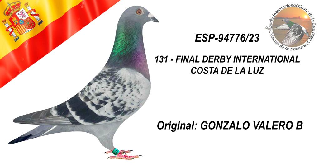 ESP-94776/23 - GONZALO VALERO - 131º CLASIFICADA