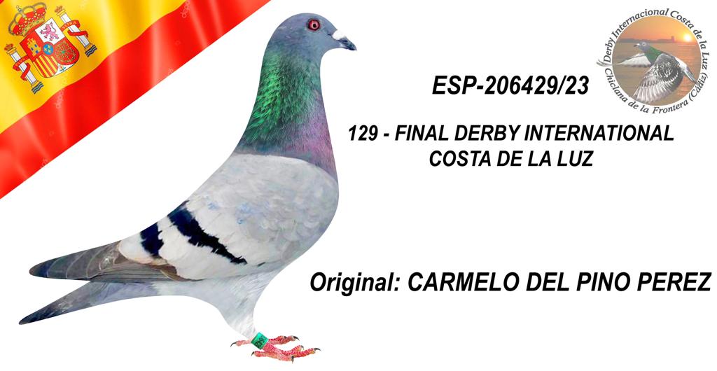 ESP-206429/23 - CARMELO DEL PINO PEREZ - 129º CLASIFICADA