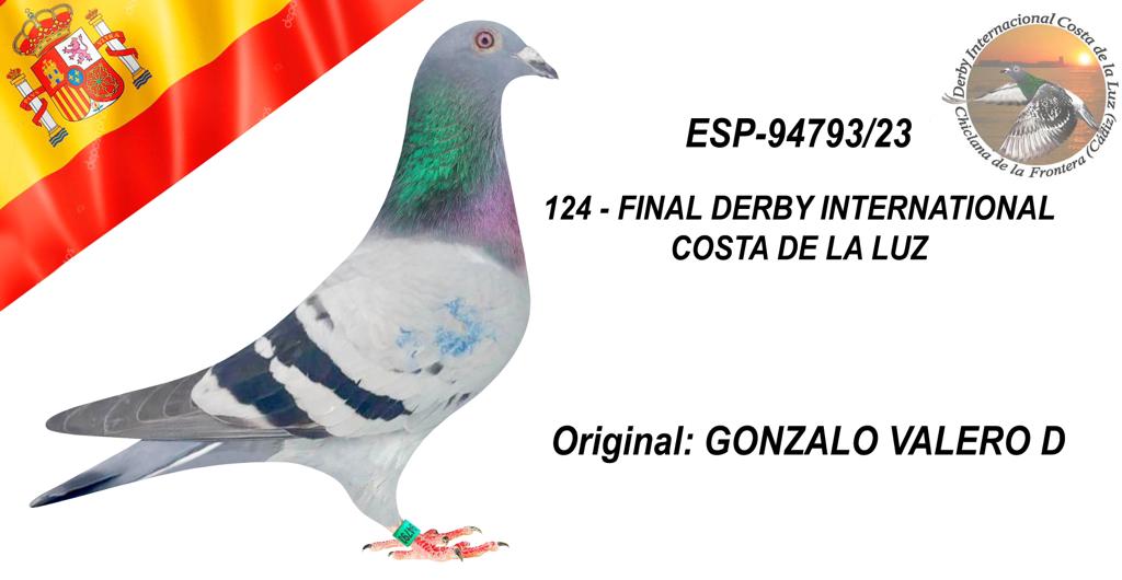 ESP-94793/23 - GONZALO VALERO - 124º CLASIFICADA