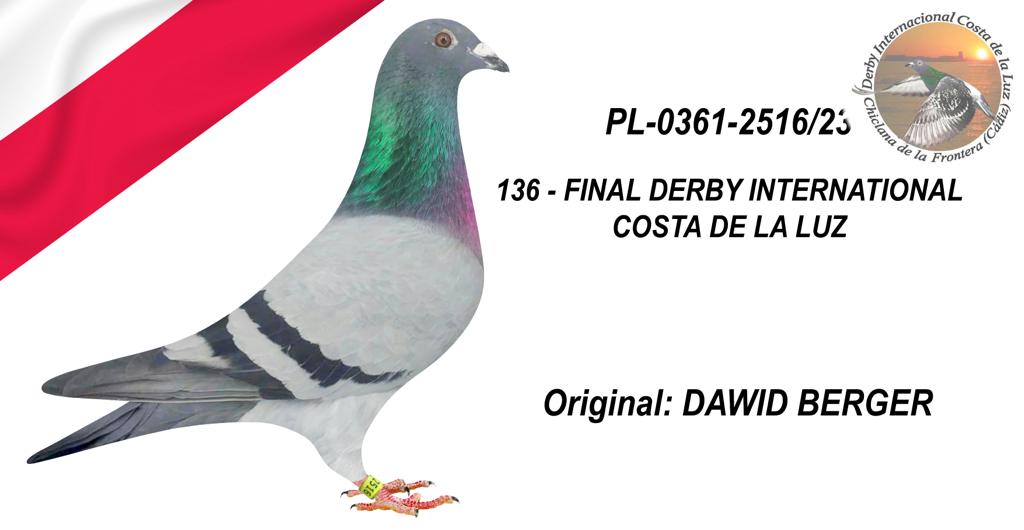 PL-0361-2516/23 - DAWID BERGER - 136º CLASIFICADA