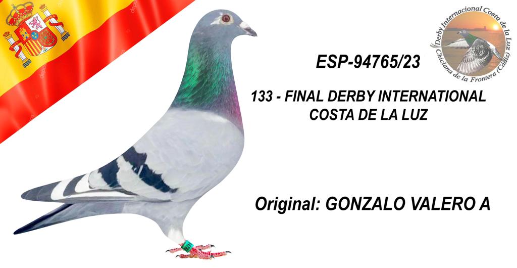 ESP-94765/23 - GONZALO VALERO - 133º CLASIFICADA
