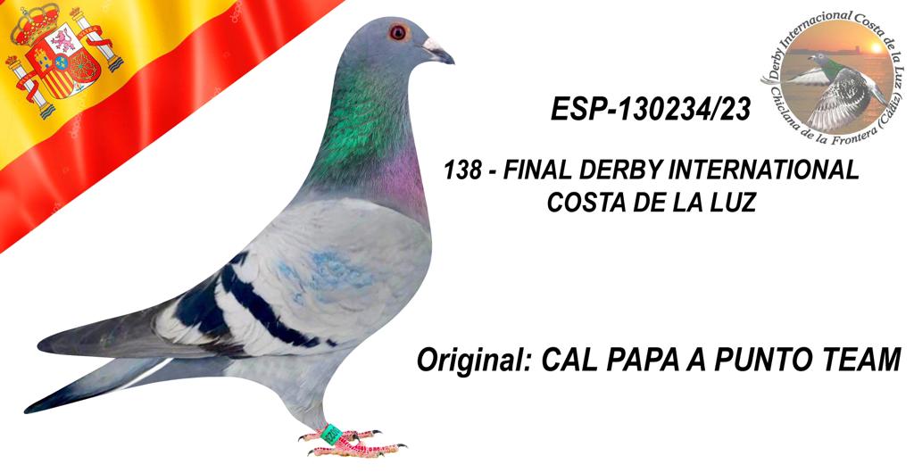 ESP-130234/23 - CAL PAPA A PUNTO TEAM - 138º CLASIFICADA