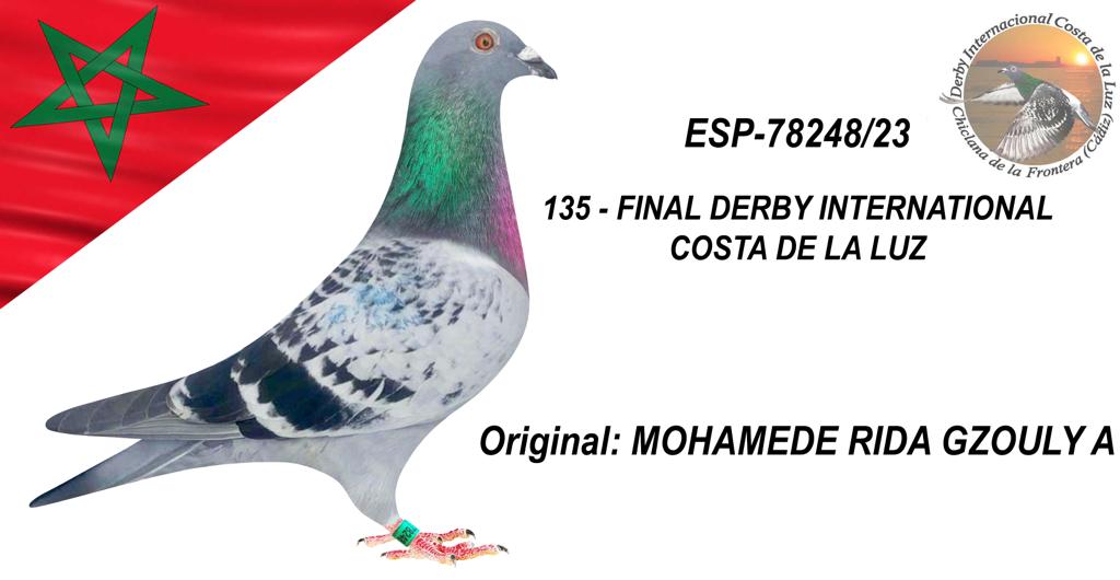 ESP-78248/23 - MOHAMEDE RIDA GZOULY - 135º CLASIFICADA