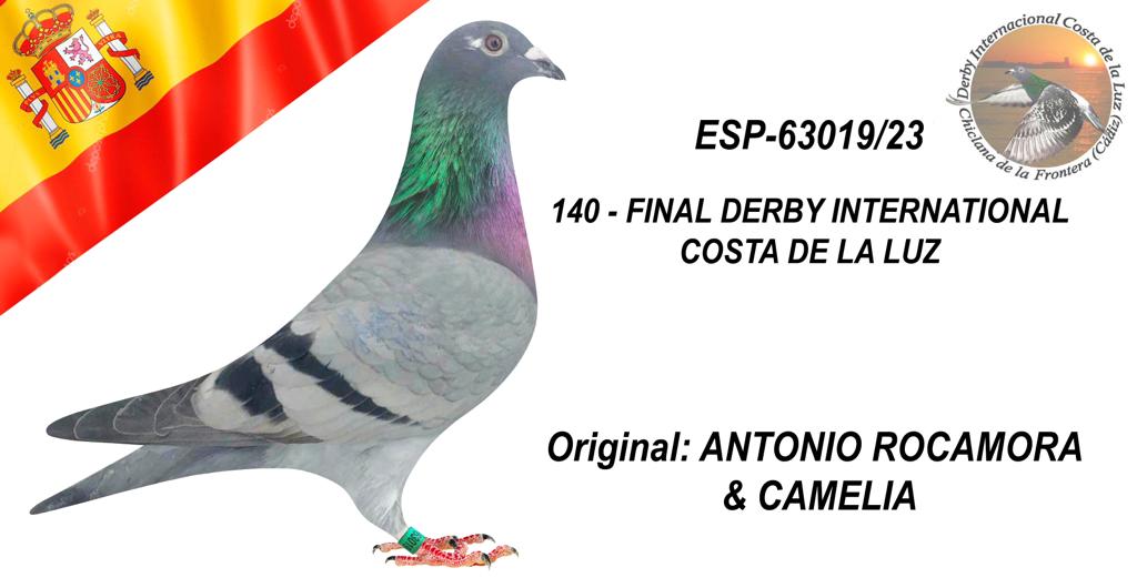 ESP-63019/23 - ANTONIO ROCAMORA & CAMELIA - 140º CLASIFICADA
