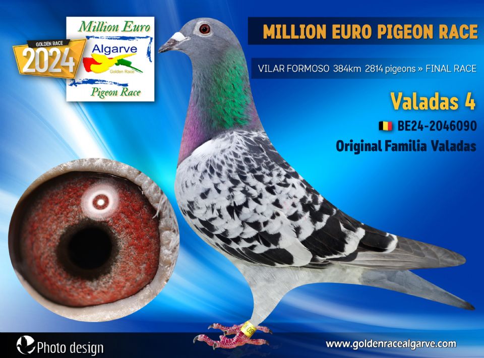 BE24-2046090 - HEMBRA - Familia Valadas