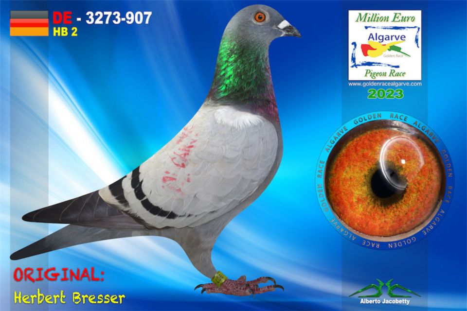 DE23-3273-907 - HEMBRA - Herbert Bresser