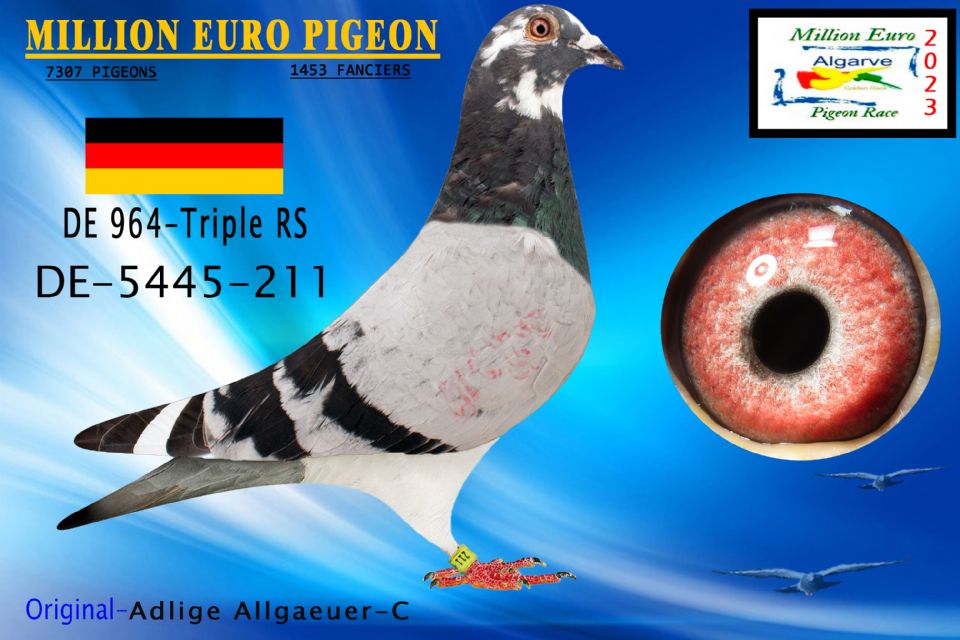 DE23-5445-211 - MACHO - Adlige Allgaeuer-C