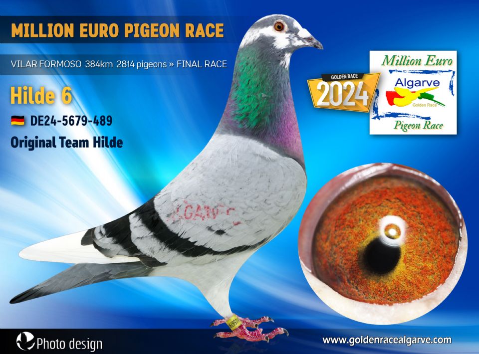 DE24-5679-489 - MACHO - Team Hilde