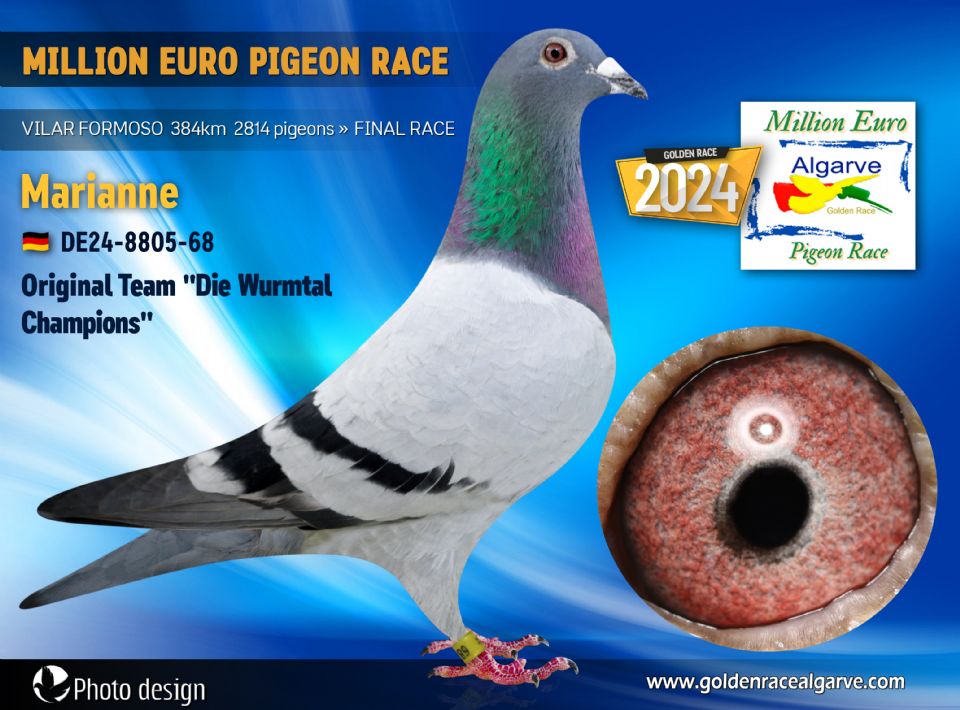 DE24-8805-68 - MACHO - SG Schloesser + Ehlen