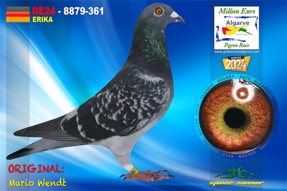 DE24-8879-361 - HEMBRA - Mario Wendt