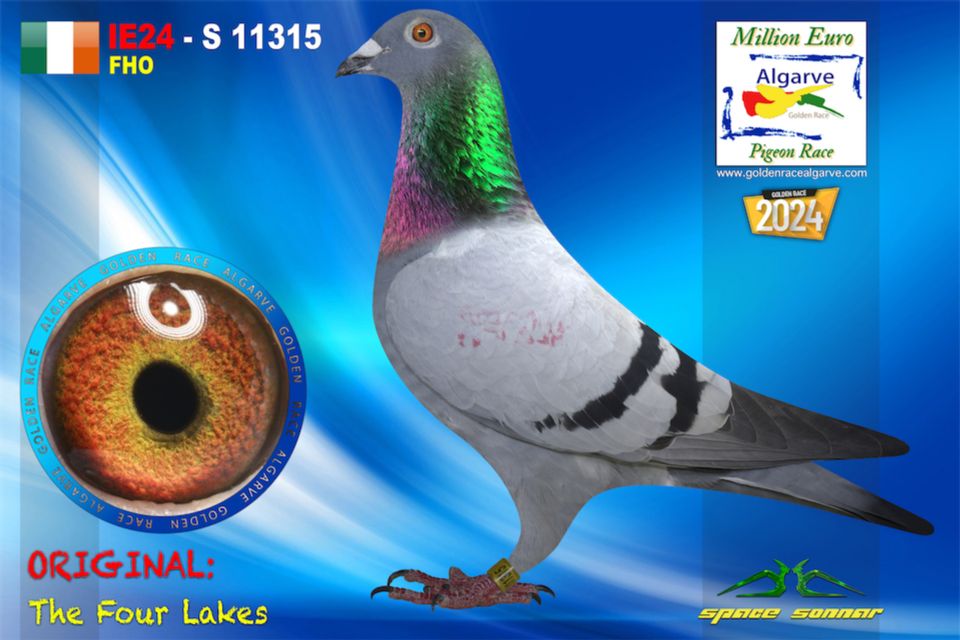 IE24-S 11315 - HEMBRA - The Four Lakes