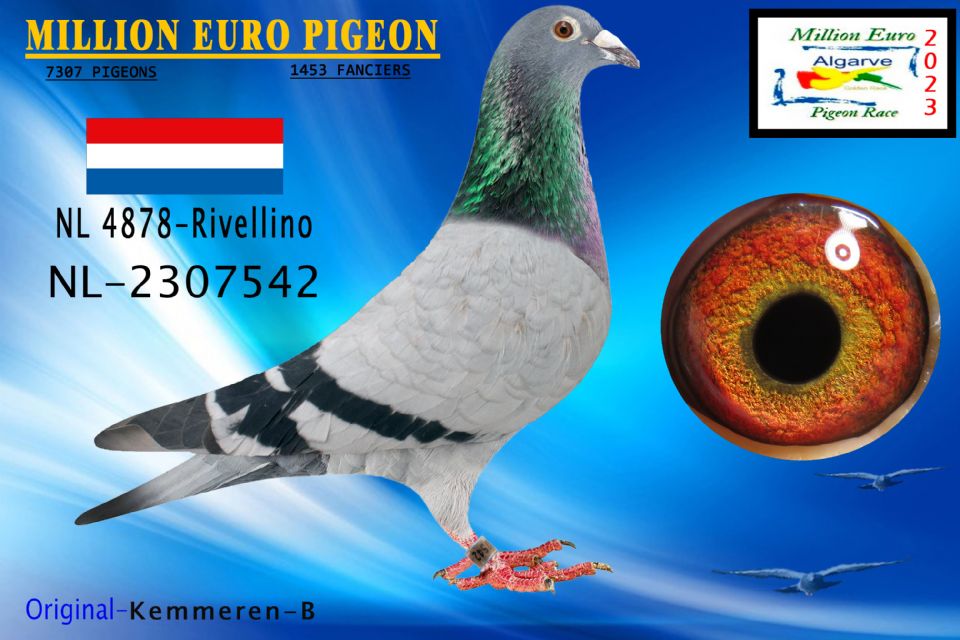 NL23-2307542 - HEMBRA - Kemmeren-B