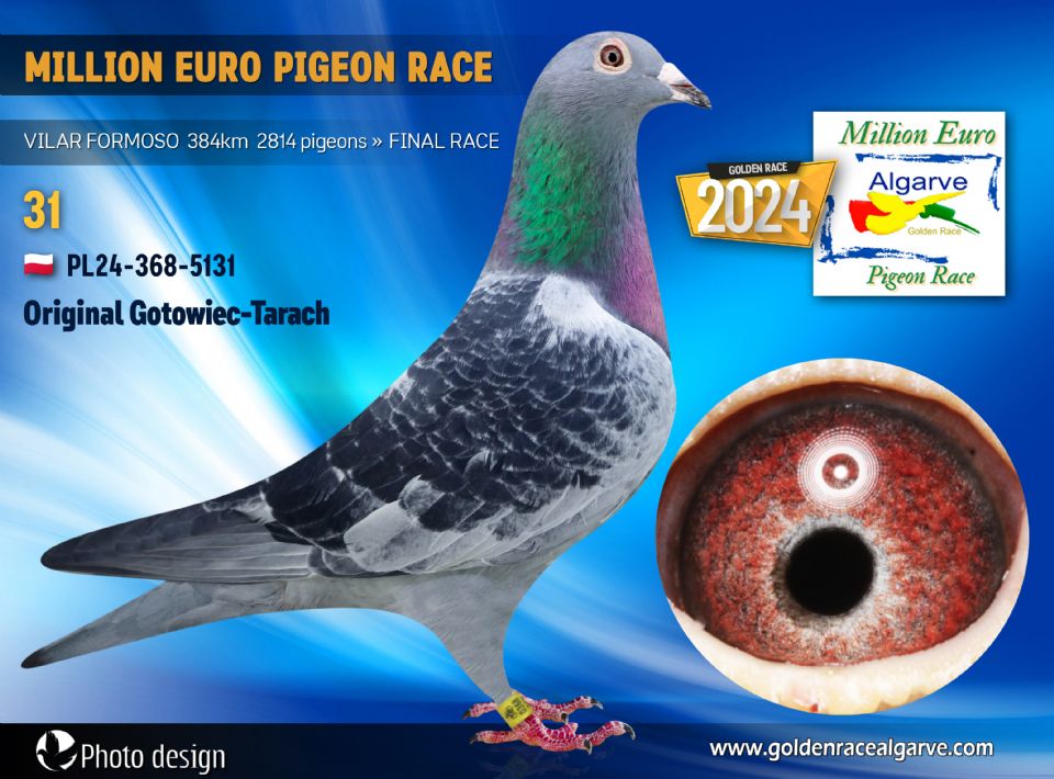 PL24-368-5131 - MACHO - Gotowiec-Tarach