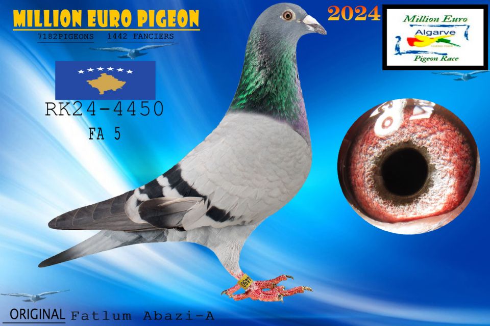 RK24-4450 - HEMBRA - Fatlum Abazi-A
