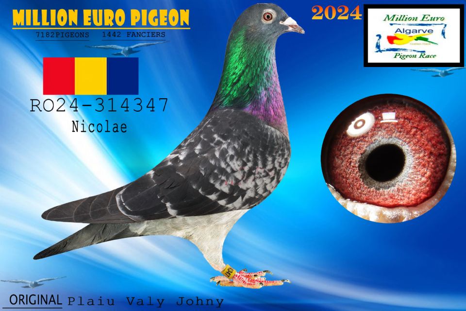 RO24-314347 - MACHO - Plaiu Valy Johny