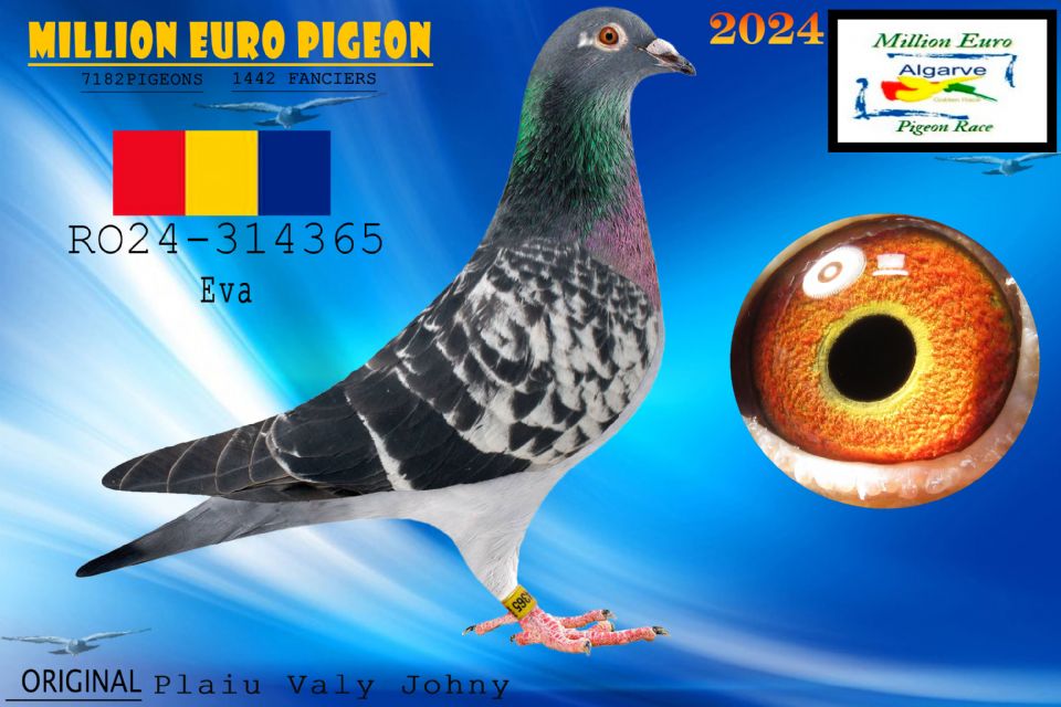 RO24-314365 - MACHO - Plaiu Valy Johny
