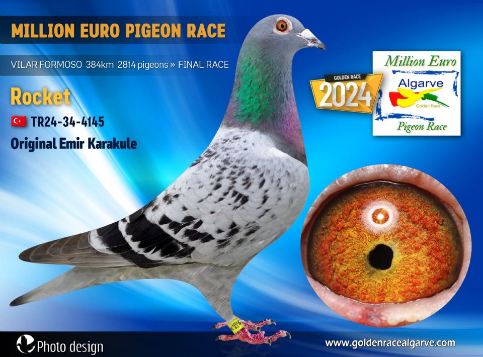 TR24-34-4145 - HEMBRA - Emir Karakule