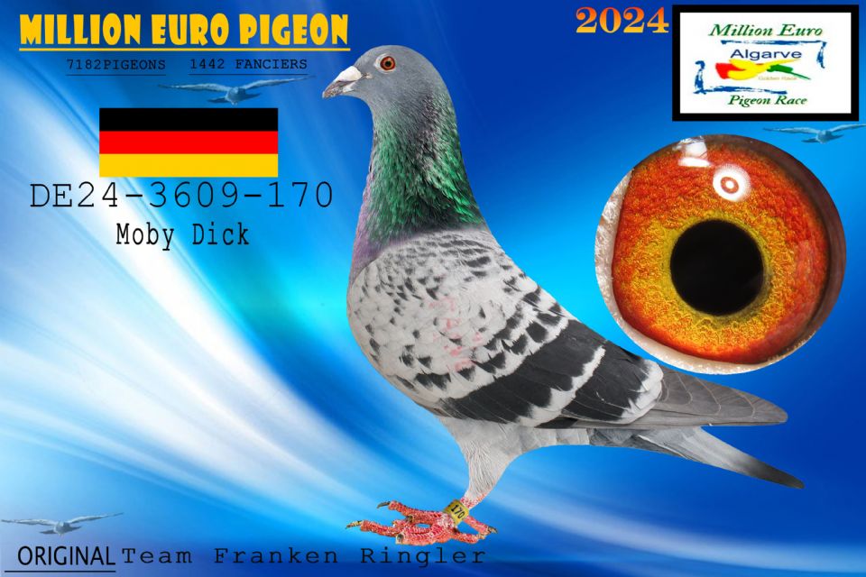 DE24-3609-170- MACHO - Team Franken Ringler