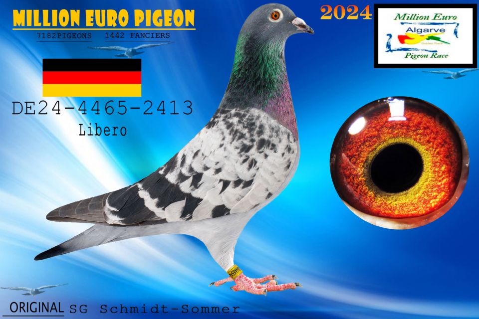 DE24-4465-2413 - MACHO - SG Schmidt-Sommer
