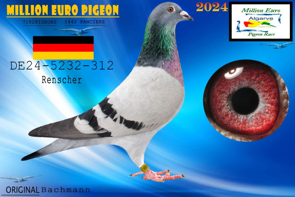 DE24-5232-312 - MACHO - Bachmann