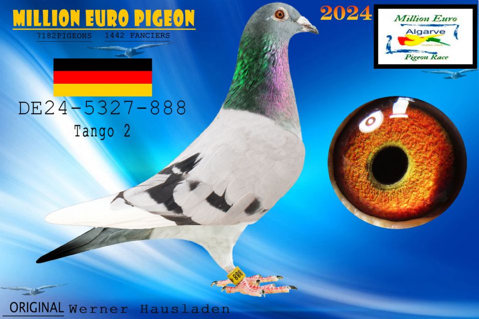 DE24-5327-888 - MACHO - Werner Hausladen