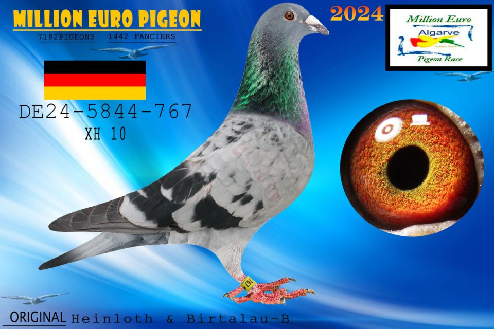 DE24-5844-767 - MACHO - Heinloth & Birtalau