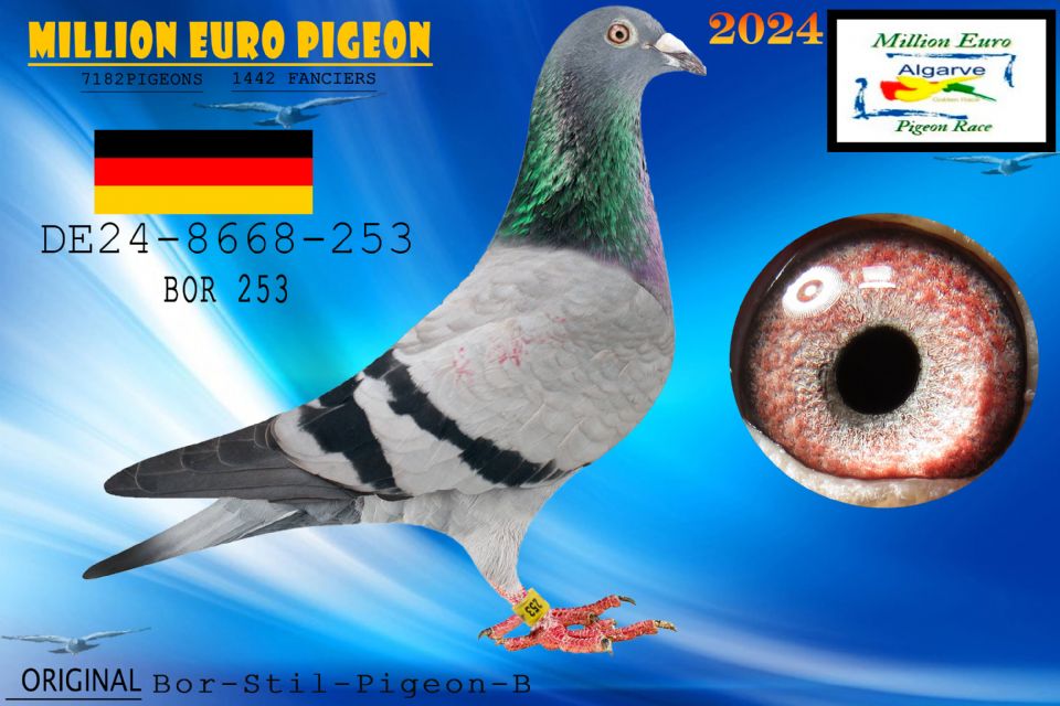 DE24-8668-253 - Bor-Stil-Pigeon-B