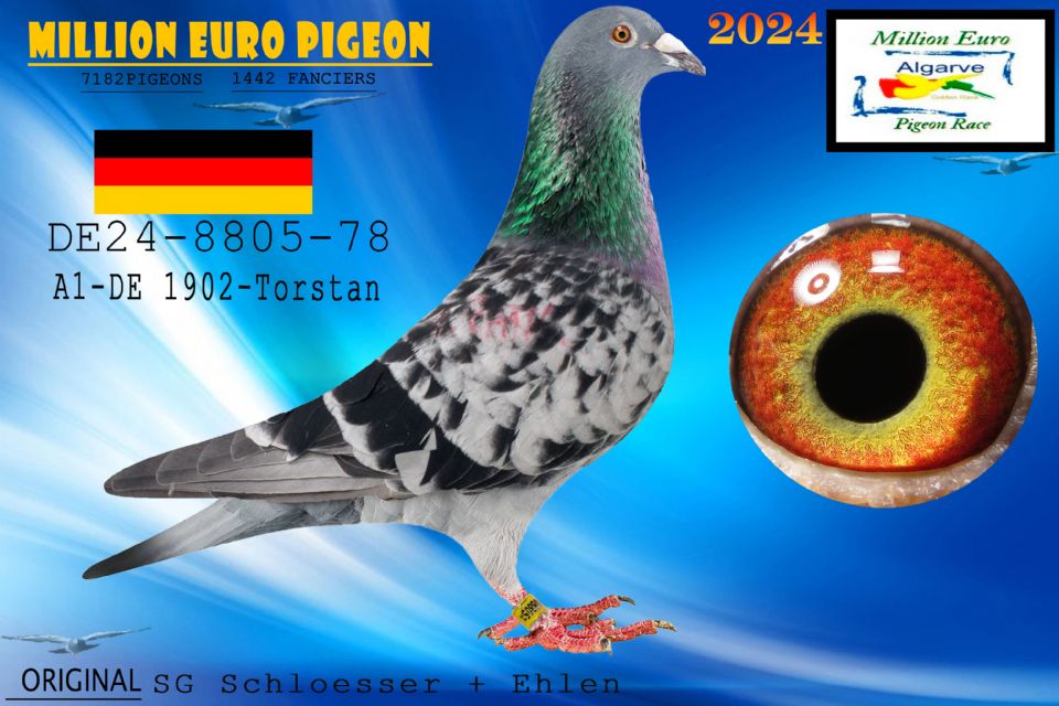 DE24-8805-78 - MACHO - SG Schloesser + Ehlen