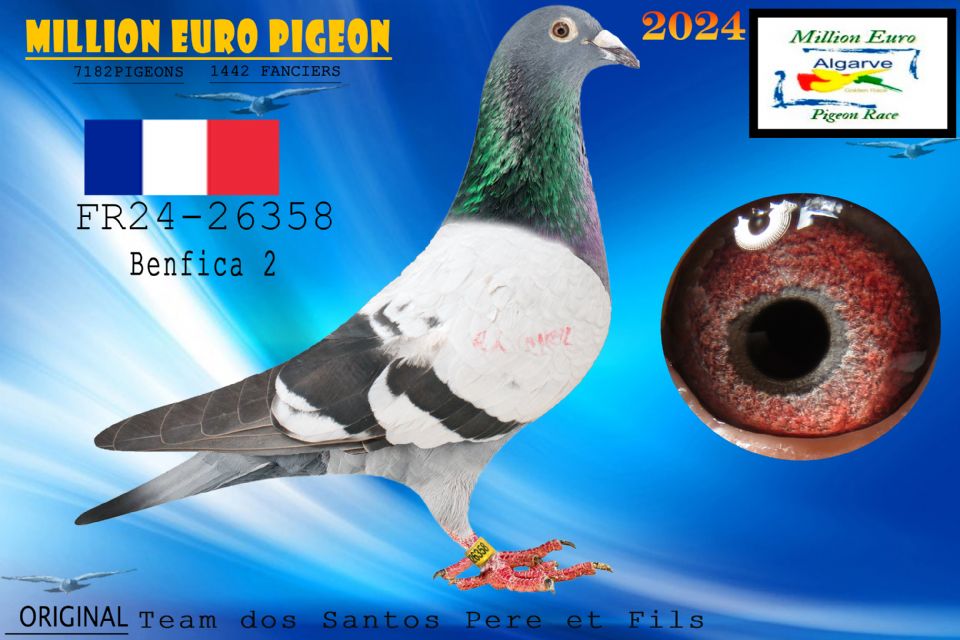 FR24-26358 - MACHO - Team dos Santos Pere et Fils