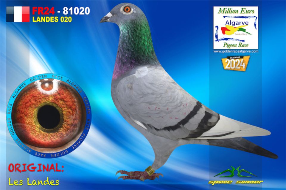 FR24-81020-HEMBRA - Les Landes