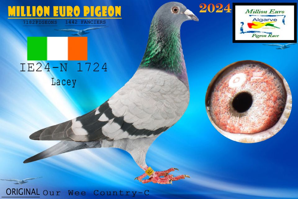 IE24-N 1724- -HEMBRA - Our Wee Country-C